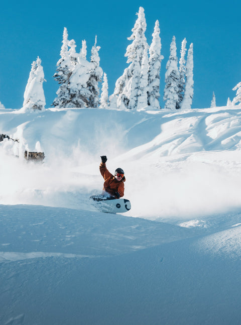 Burton Family Tree Hometown Hero Camber Snowboard 2026