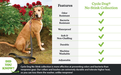 Darkside x Cycle Dog Regular Width Dog Collar (Multiple Size Options)