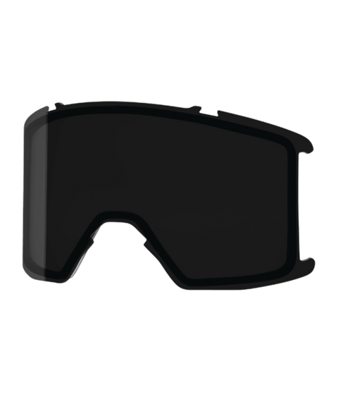 Smith Stash XL Goggle Lens (Multiple Tint Options)