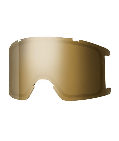 Smith Squad Goggle Lens 2027 (Multiple Tint Options)