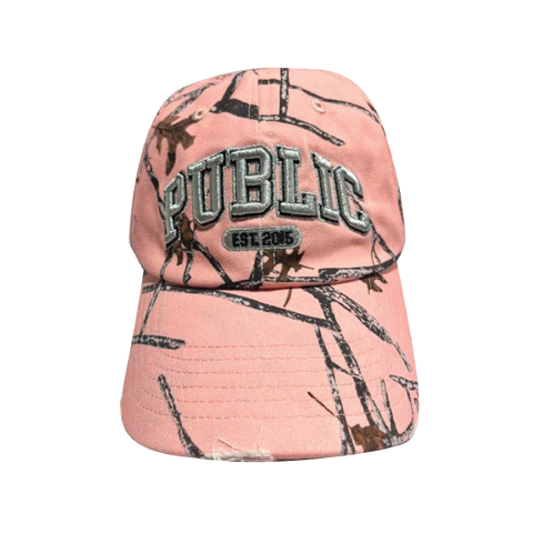 Public Collegiate Cap 2026