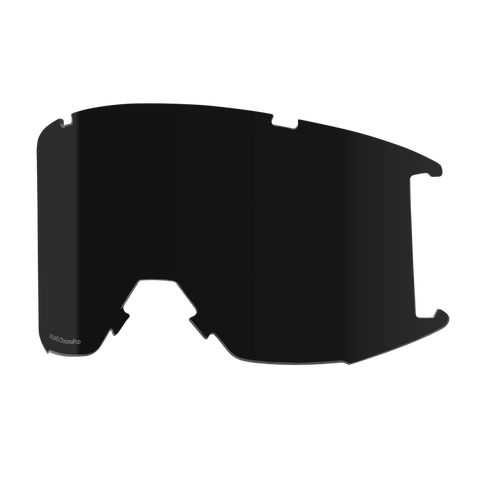Smith Squad Goggle Lens (Multiple Tint Options)