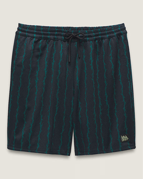 Vans Skate Loose Sport Shorts