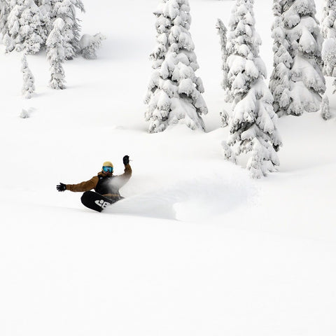 Lib Tech T. Rice Orca Snowboard 2026